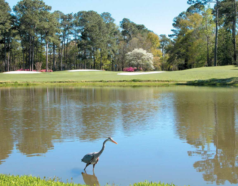 Three Must Place Golf Courses in North Myrtle Beach North Myrtle