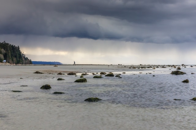 Rainy Day Activities To Do In Myrtle