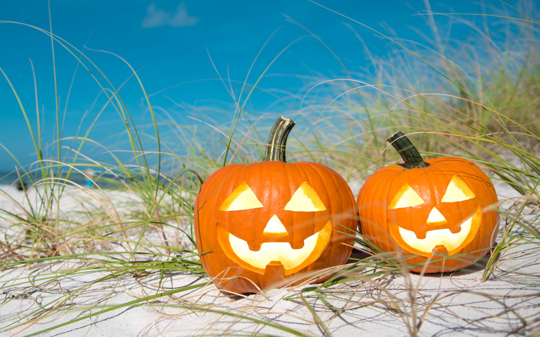 Myrtle Beach Area Halloween Happenings North Myrtle Beach Blog